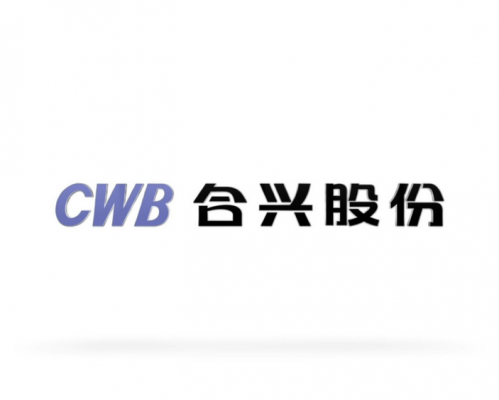 合兴汽车电子股份有限公司