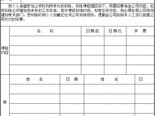 个人外部训练申请表