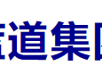 温州蓝道集团